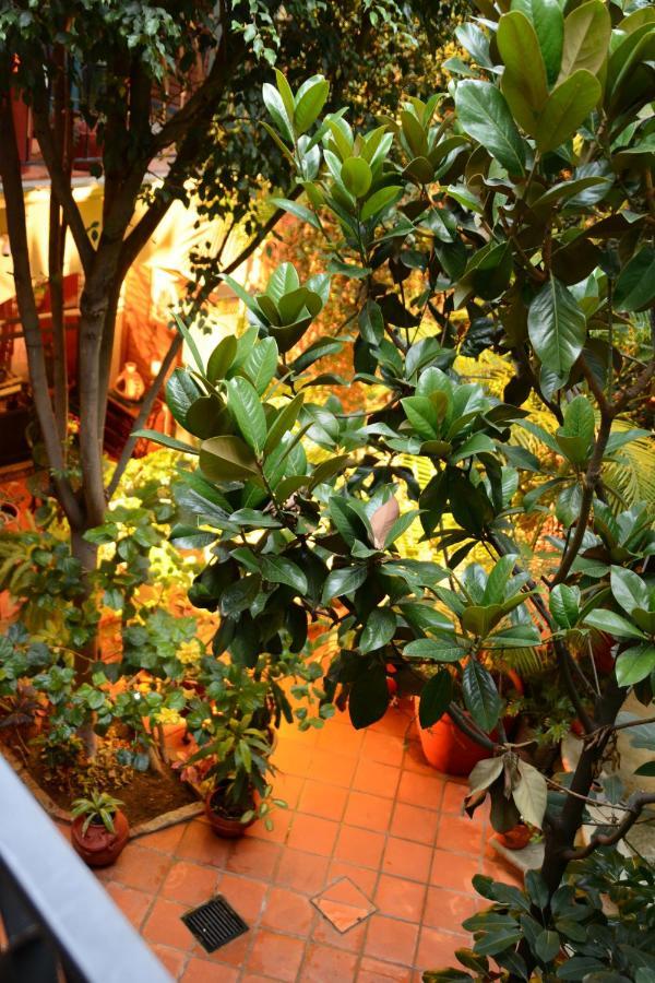 Hotel Casa Guivá Oaxaca Esterno foto